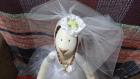 WEDDING-HARE-8